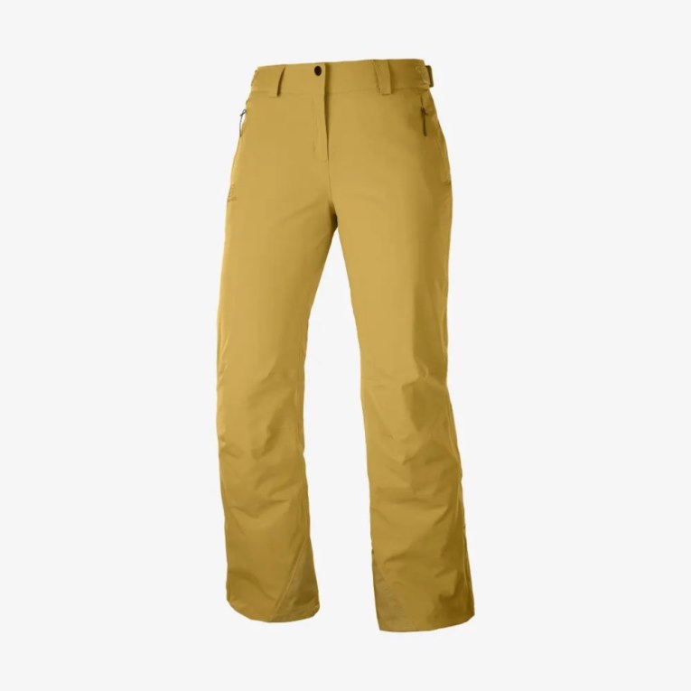 Brown Salomon The Brilliant Women's Ski Pants | IE SD8430